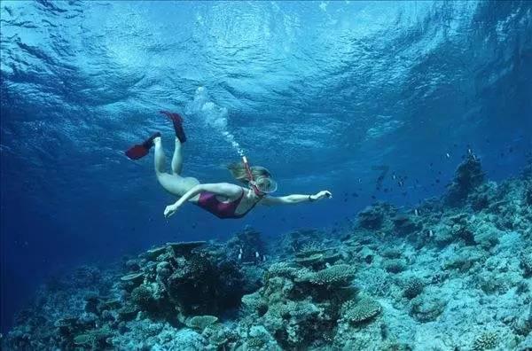 探索奇妙之旅,尽在教育局谈招教疑泄题:正在核实!若确实存在该问题会如何处理?蜗牛问答平台